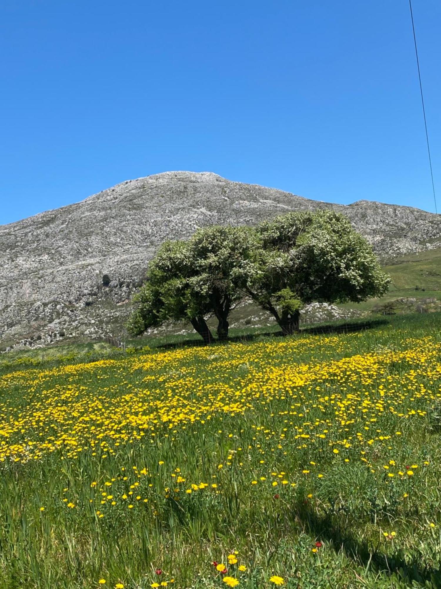 Spílion Costas Inn المظهر الخارجي الصورة